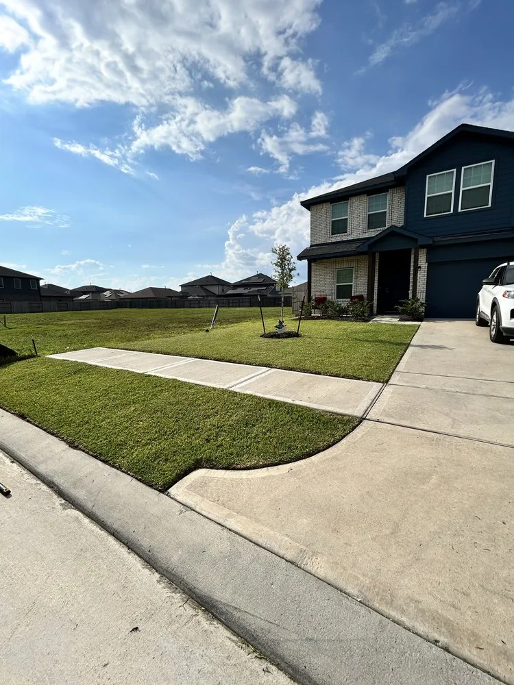 Trusted yard cleanup service in Crosby, TX by Patio King Landscaping Service