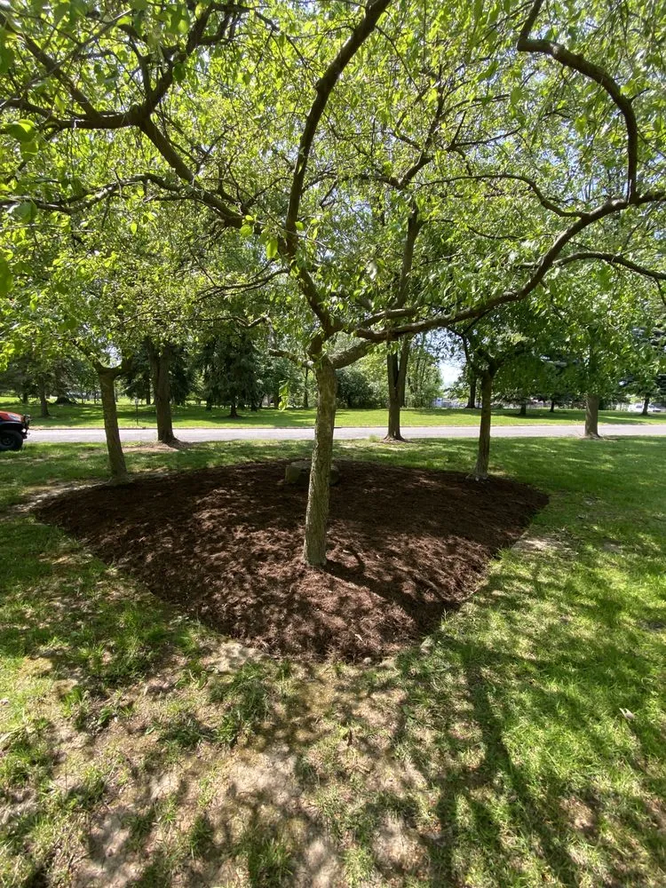 Local lawn mowing service for beautiful yards in Chagrin Falls, OH by Patitucci Landscape Services