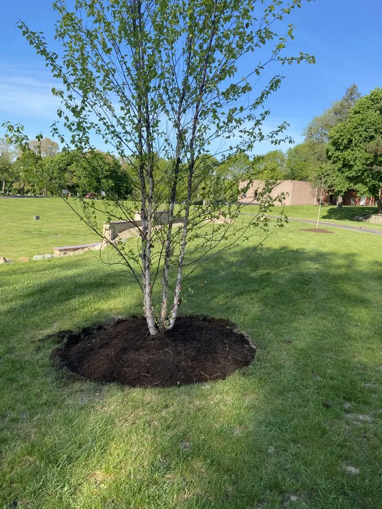 Top-rated yard cleanup service near you in Chagrin Falls, OH by Patitucci Landscape Services