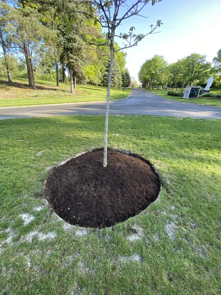 Affordable landscaping services in Chagrin Falls, OH by Patitucci Landscape Services