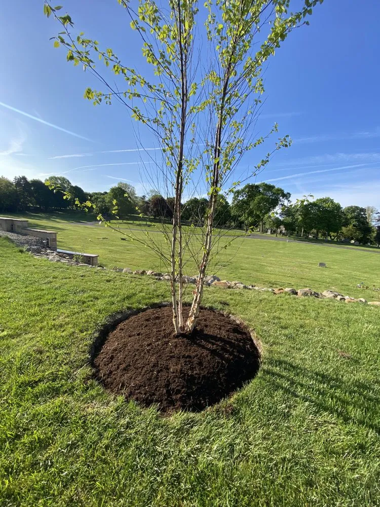 Trusted lawn care service for outdoor upgrades in Chagrin Falls, OH by Patitucci Landscape Services