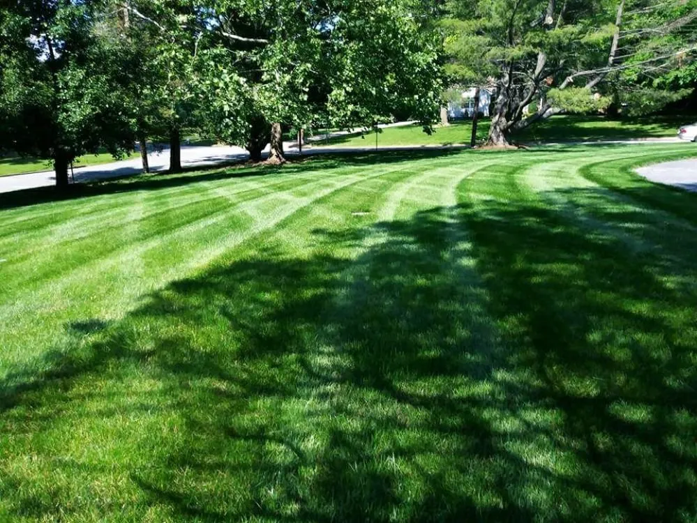 Affordable outdoor landscaping near you in Wynnewood, PA by Patkin Landscaping
