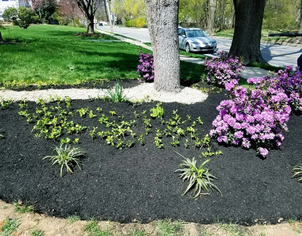 Reliable lawn mowing service for beautiful yards across Wynnewood, PA - Patkin Landscaping