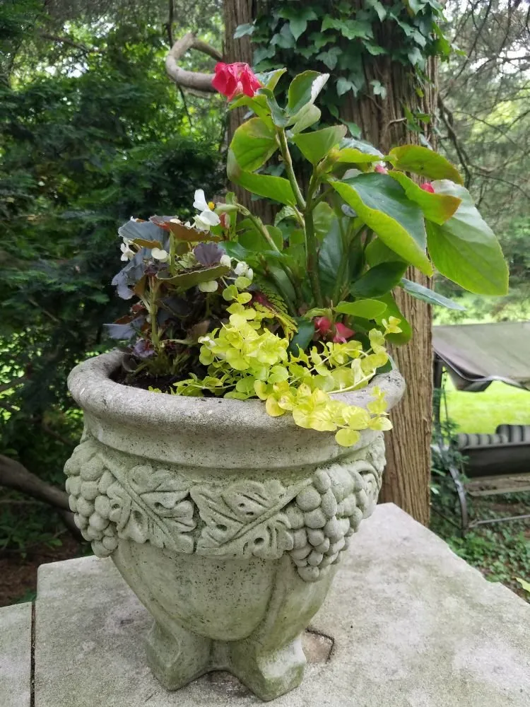 Professional lawn care service for beautiful yards in Wynnewood, PA by Patkin Landscaping