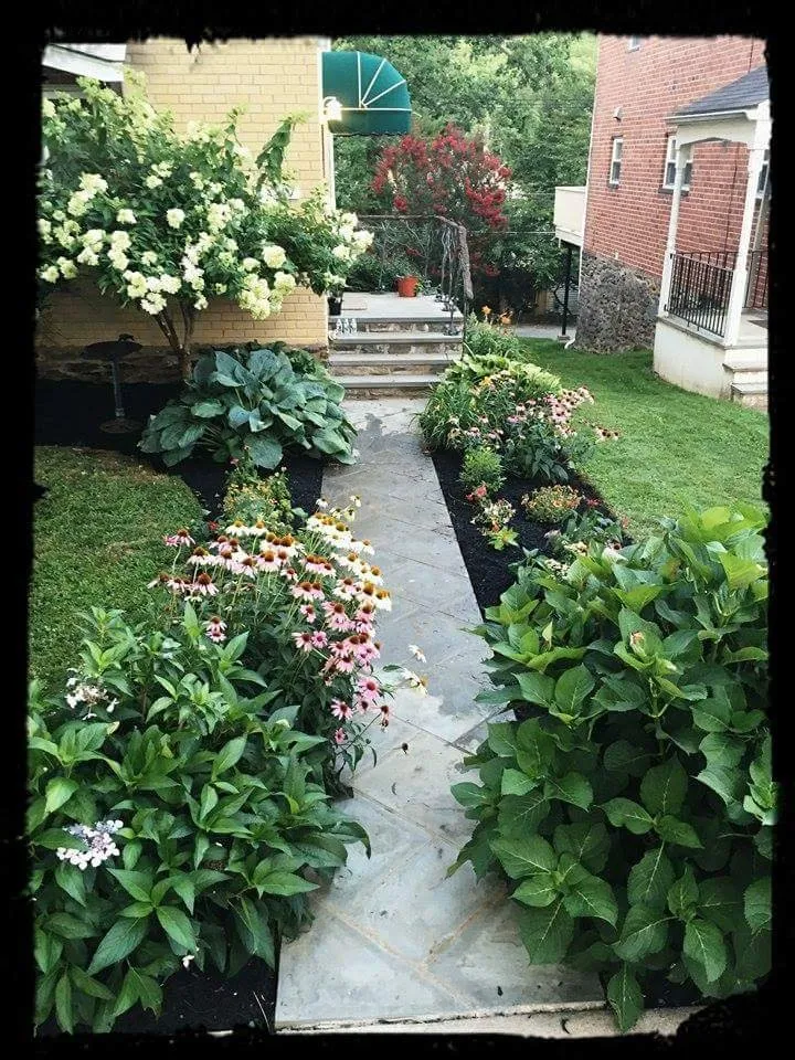 Reliable lawn care service in Wynnewood, PA - Patkin Landscaping