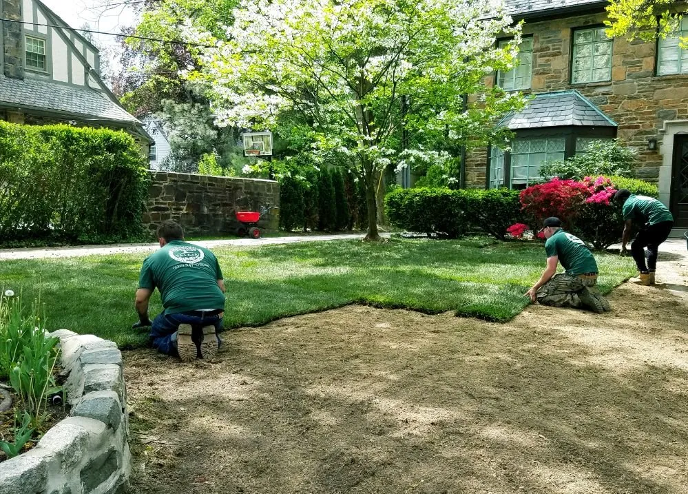 Local lawn mowing service in Wynnewood, PA by Patkin Landscaping