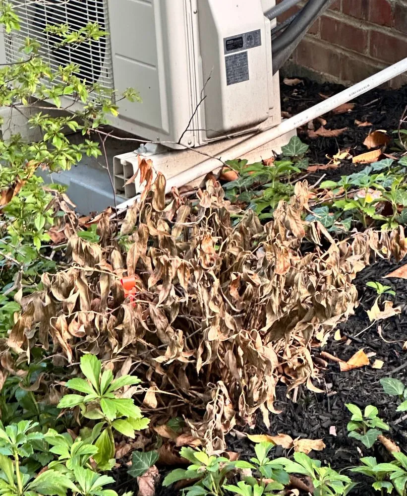Professional residential landscaping experts serving Wynnewood, PA - Patkin Landscaping