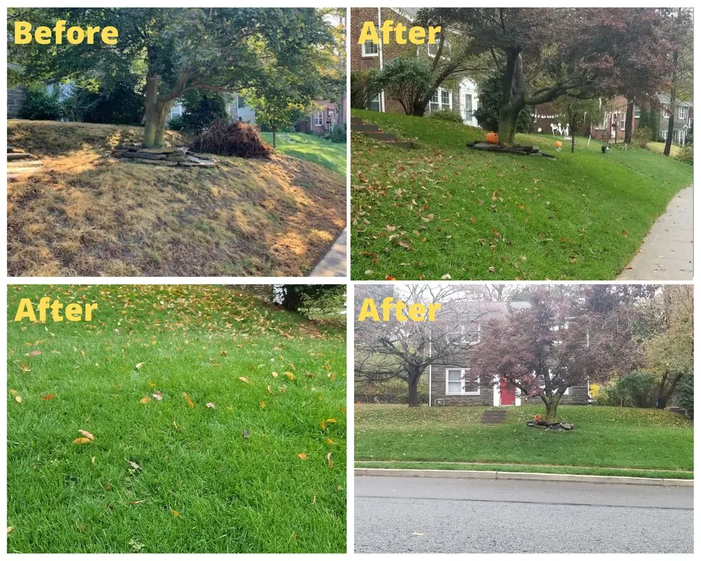 Custom landscape design in Wynnewood, PA by Patkin Landscaping