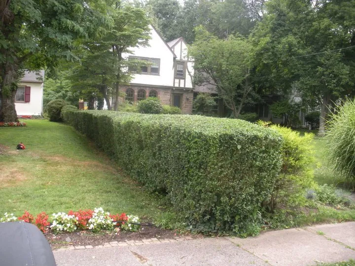 Reliable landscaping services experts serving Wynnewood, PA - Patkin Landscaping