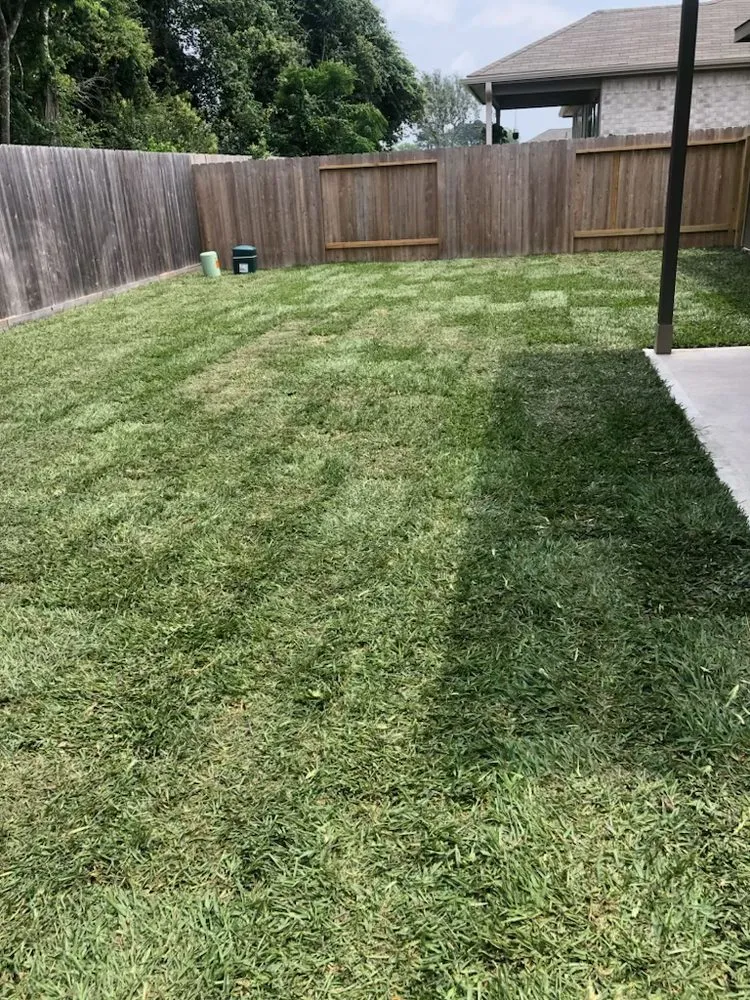 Professional landscape design in Prosper, TX by Patlan Landscape & Irrigation