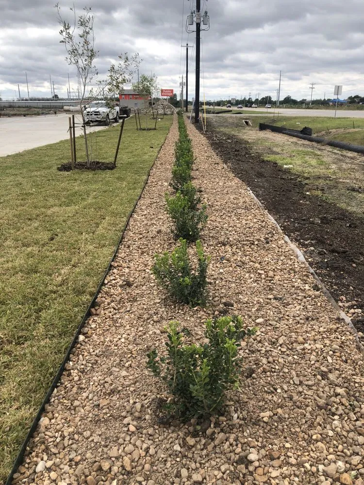 Affordable yard cleanup service experts serving Prosper, TX - Patlan Landscape & Irrigation