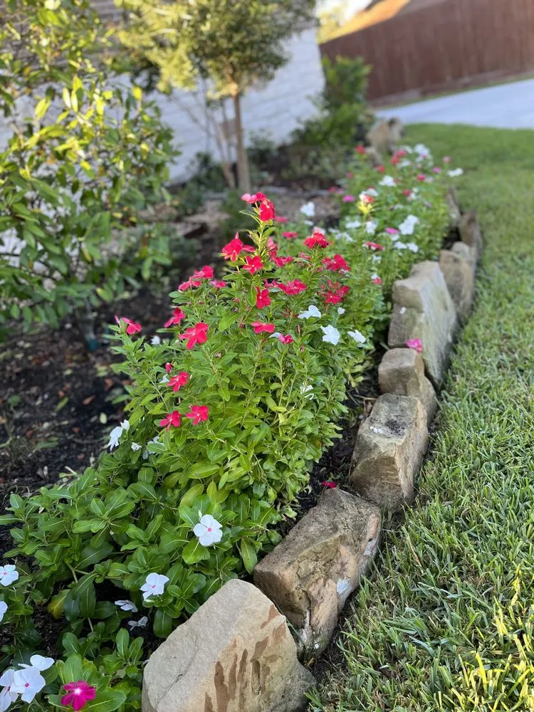 Trusted yard maintenance near you across Prosper, TX - Patlan Landscape & Irrigation