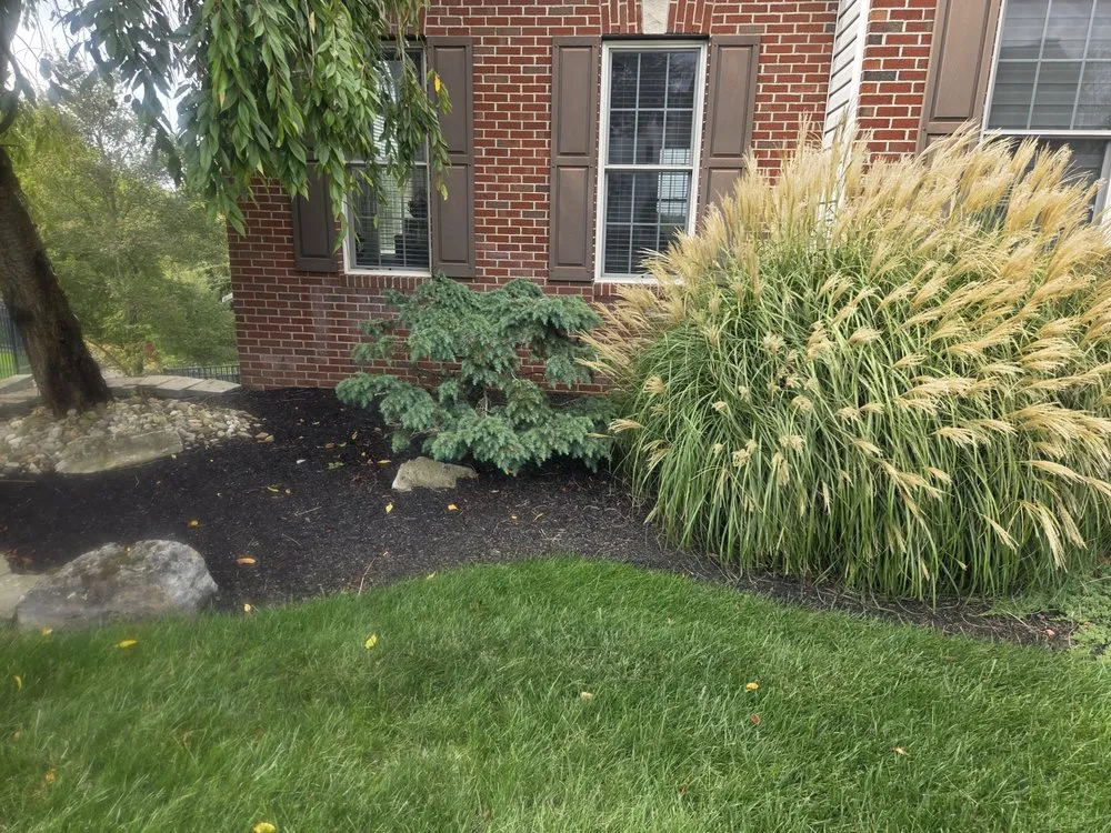Top-rated yard cleanup service in Garfield, NJ by Patmar Landscaping