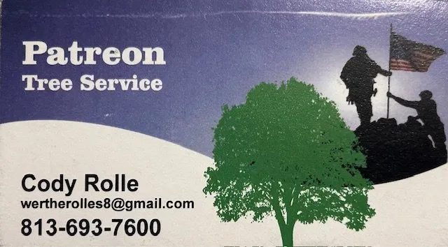 Reliable residential landscaping for homes across Valrico, FL - Patreon Tree Service