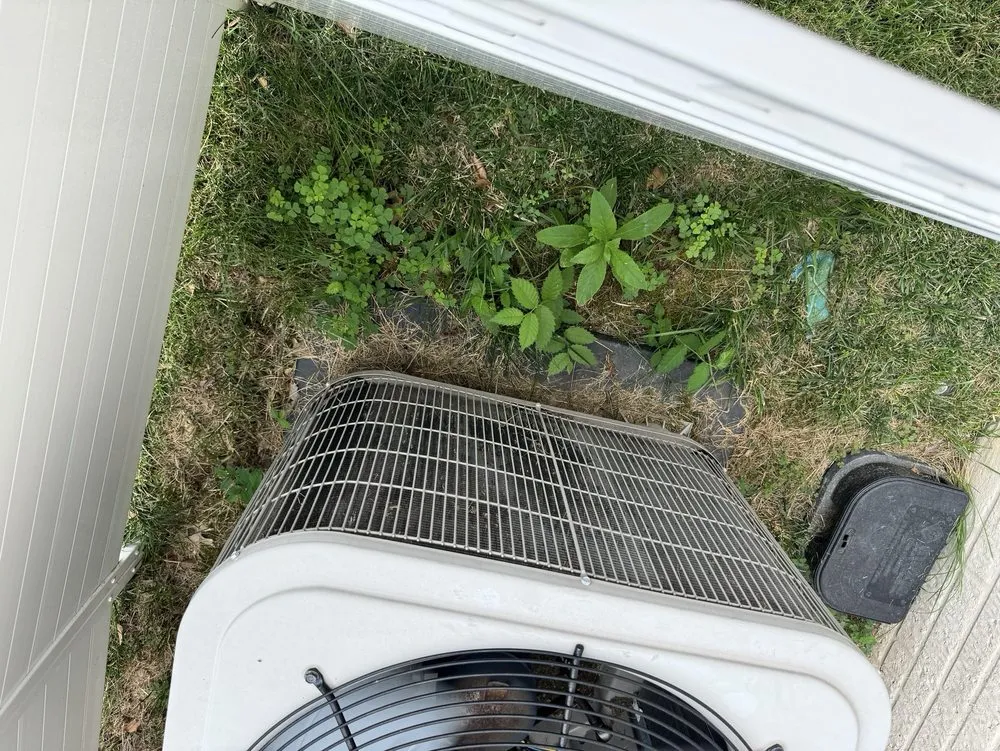 Professional yard cleanup service for residential properties across Sterling, VA - Patricia Multiservices & Landscaping