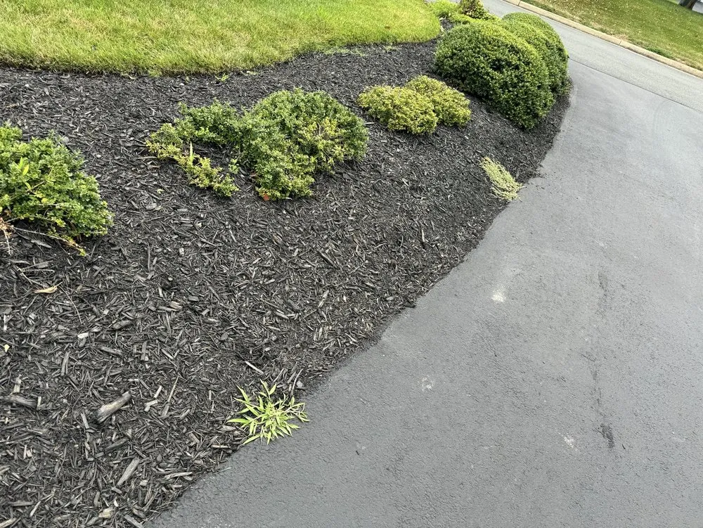 Trusted landscape installation experts serving Sterling, VA - Patricia Multiservices & Landscaping