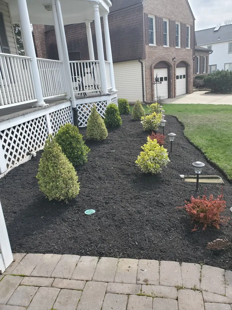 Trusted lawn care service for outdoor upgrades across Sterling, VA - Patricia Multiservices & Landscaping