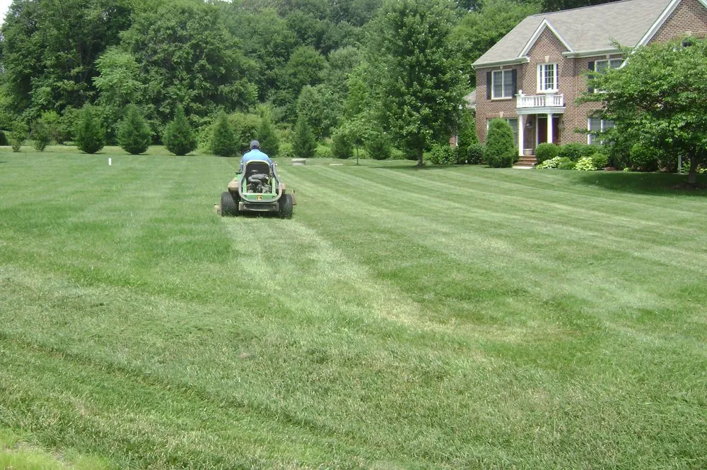 Professional landscaping services in Sterling, VA - Patricia Multiservices & Landscaping