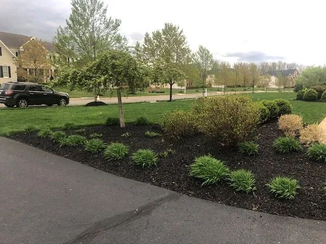 Professional lawn mowing service in Sterling, VA by Patricia Multiservices & Landscaping