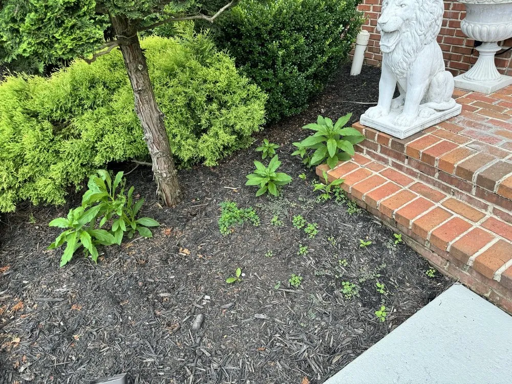 Local landscape design in Sterling, VA by Patricia Multiservices & Landscaping
