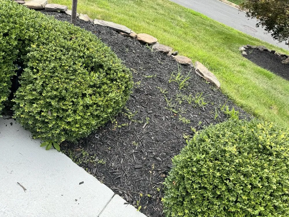 Custom lawn care service for residential properties across Sterling, VA - Patricia Multiservices & Landscaping