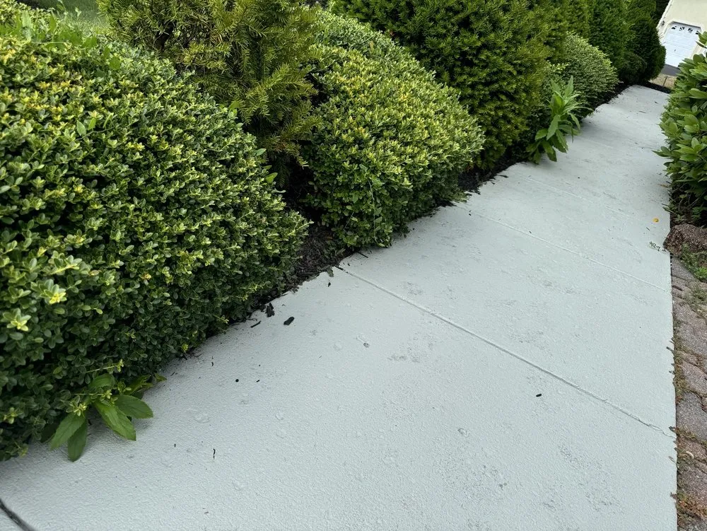 Expert landscaping services in Sterling, VA by Patricia Multiservices & Landscaping