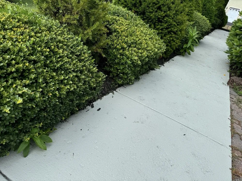 Expert lawn mowing service for year-round maintenance in Sterling, VA by Patricia Multiservices & Landscaping