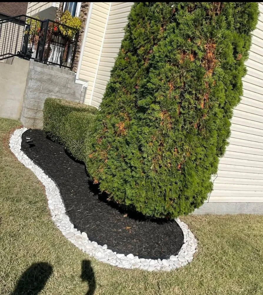 Expert lawn mowing service in Clarksville, TN - Patricio