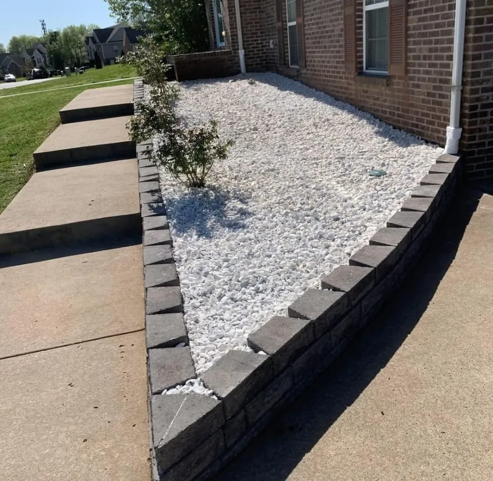 Custom lawn care service experts serving Clarksville, TN - Patricio