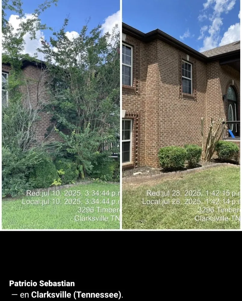 Expert yard cleanup service in Clarksville, TN - Patricio