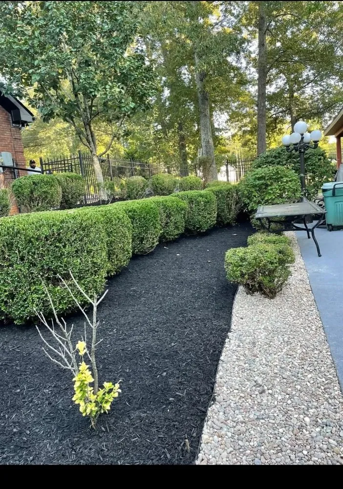 Professional yard maintenance in Clarksville, TN - Patricio
