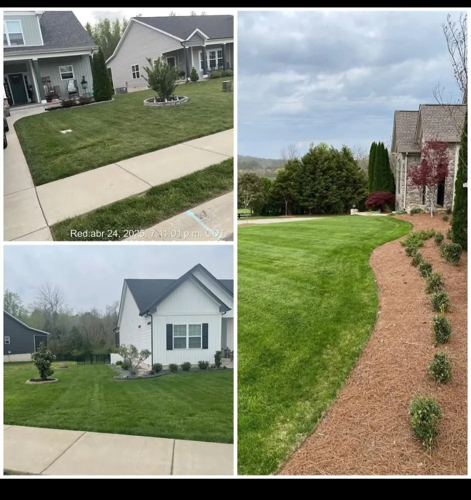 Top-rated residential landscaping experts serving Clarksville, TN - Patricio