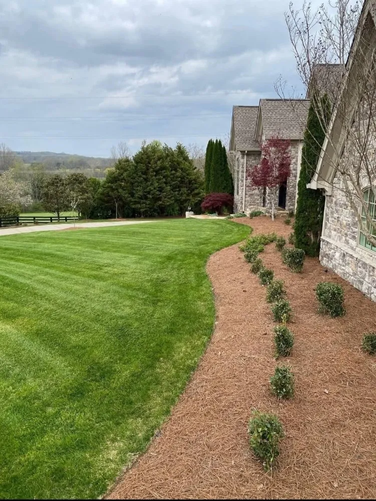 Trusted residential landscaping experts serving Clarksville, TN - Patricio