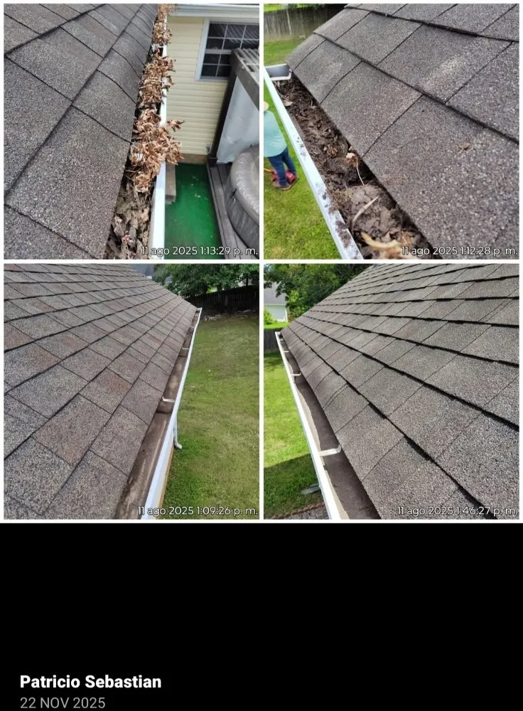 Expert lawn care service in Clarksville, TN by Patricio