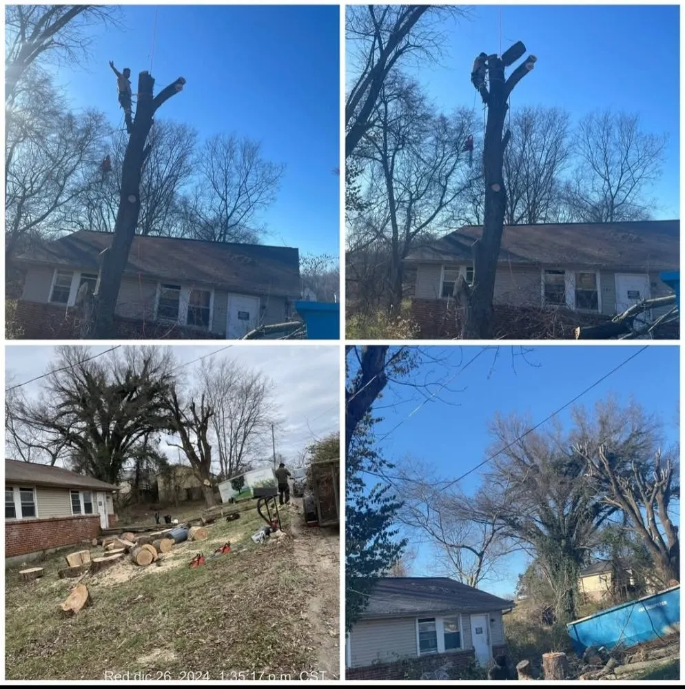 Trusted outdoor landscaping for outdoor upgrades across Clarksville, TN - Patricio