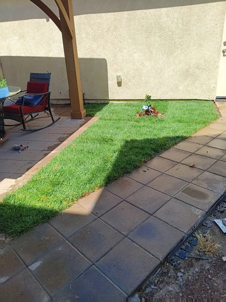 Custom lawn mowing service in King City, CA by Patricio