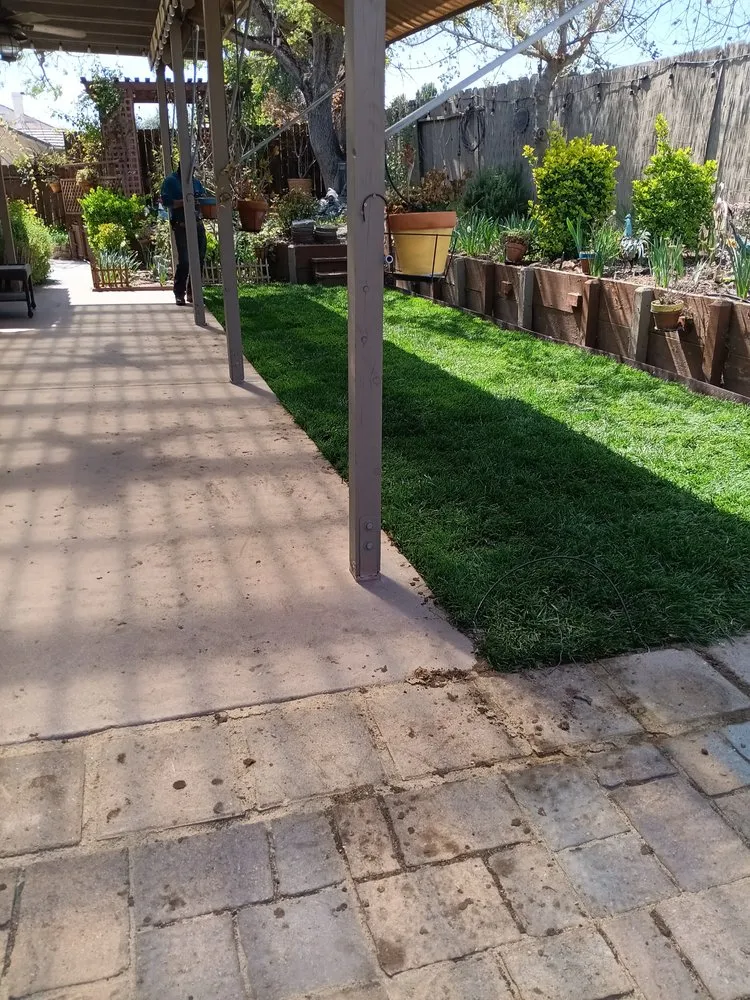 Expert residential landscaping for residential properties in King City, CA by Patricio