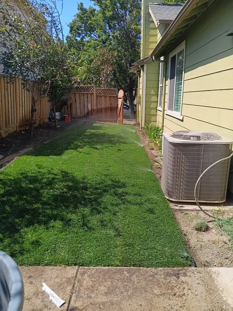 Affordable lawn mowing service in King City, CA - Patricio