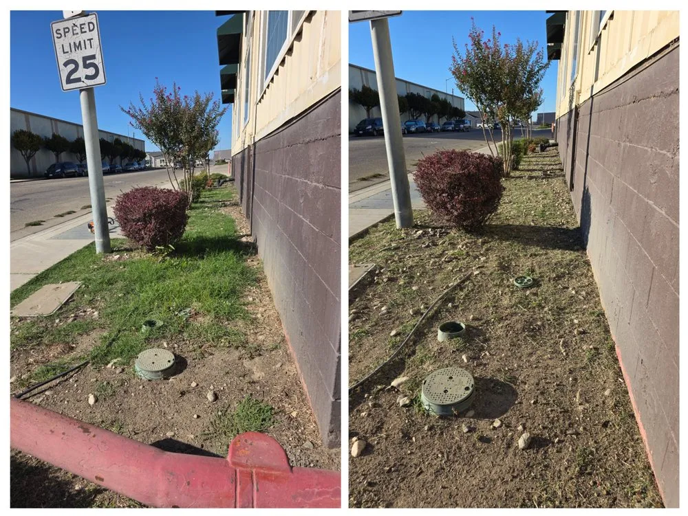 Top-rated lawn mowing service experts serving King City, CA - Patricio