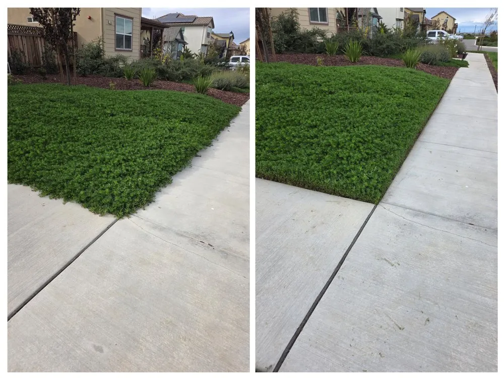 Reliable residential landscaping in King City, CA - Patricio