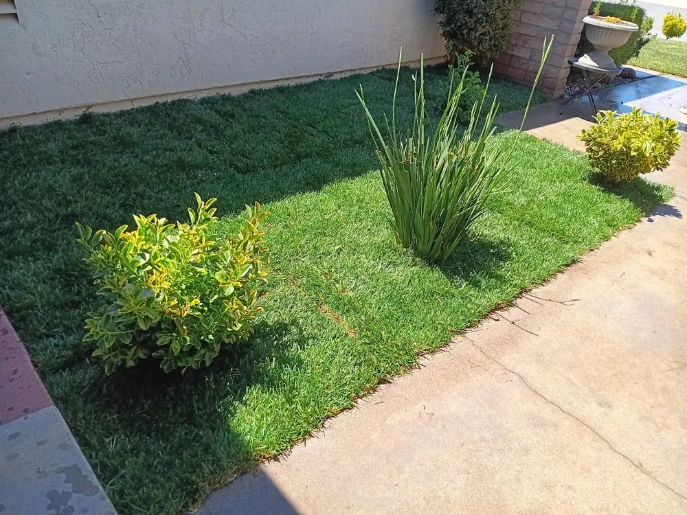 Reliable residential landscaping for homes in King City, CA by Patricio