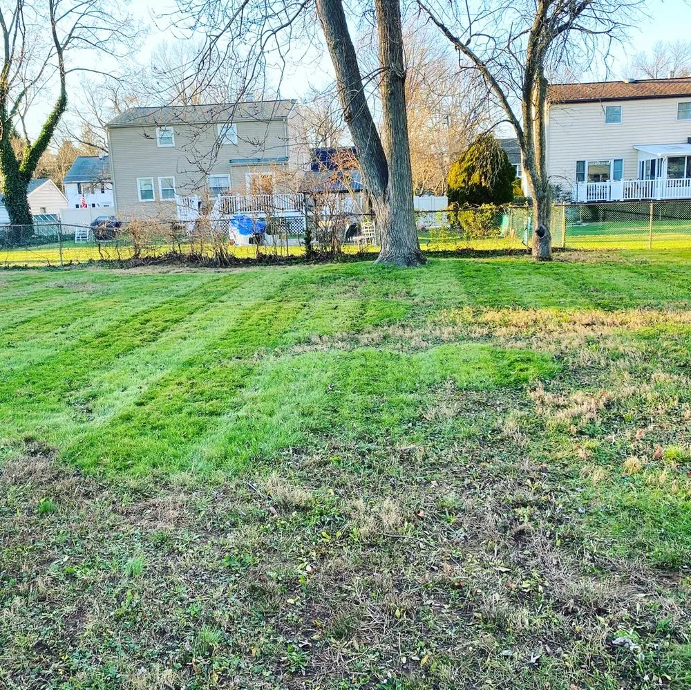 Professional lawn mowing service in South River, NJ by Patricio Lawn & Landscape