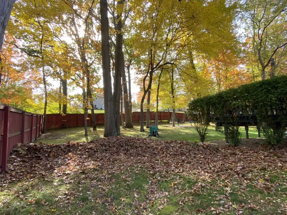 Reliable lawn mowing service experts serving South River, NJ - Patricio Lawn & Landscape