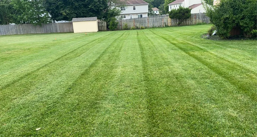 Custom lawn mowing service for outdoor upgrades across South River, NJ - Patricio Lawn & Landscape