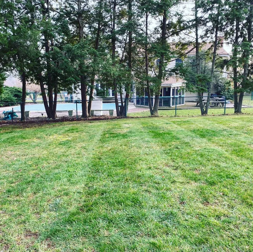 Reliable yard cleanup service for homes in South River, NJ by Patricio Lawn & Landscape