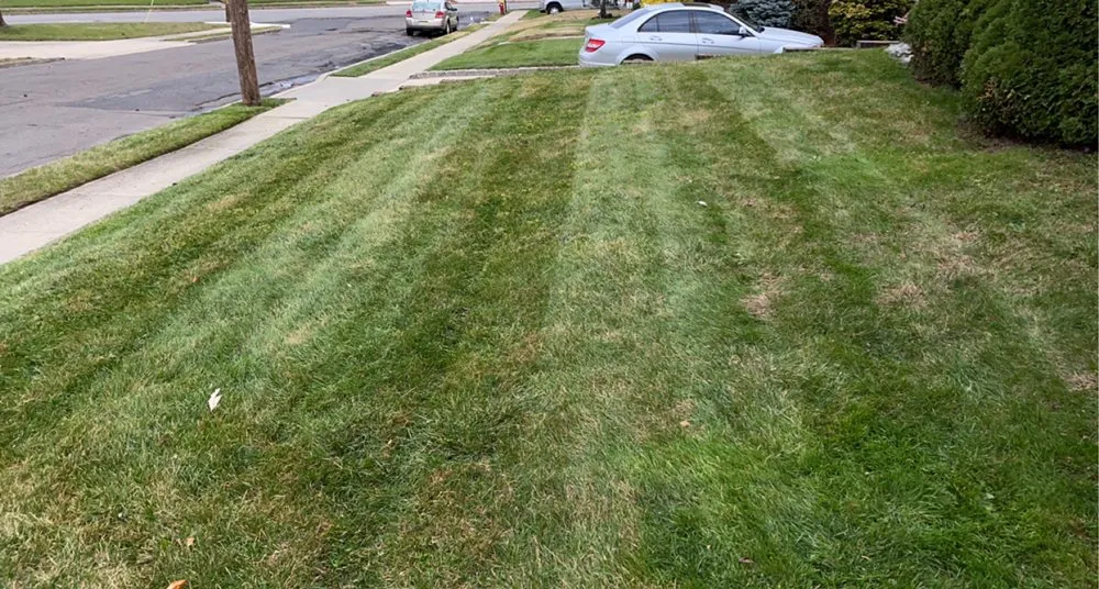 Professional lawn care service for year-round maintenance across South River, NJ - Patricio Lawn & Landscape