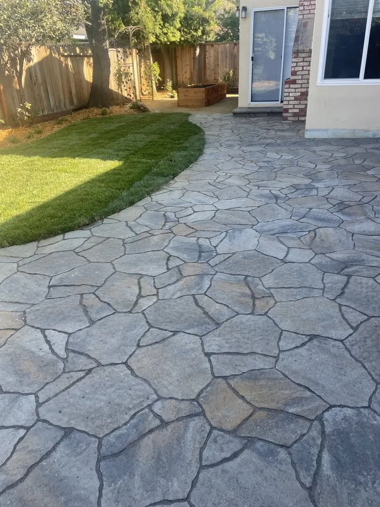 Expert yard maintenance for beautiful yards across Union City, CA - Patricio's Landscaping & Gardening