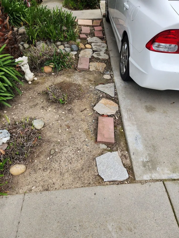 Professional landscaping services in Union City, CA by Patricio's Landscaping & Gardening