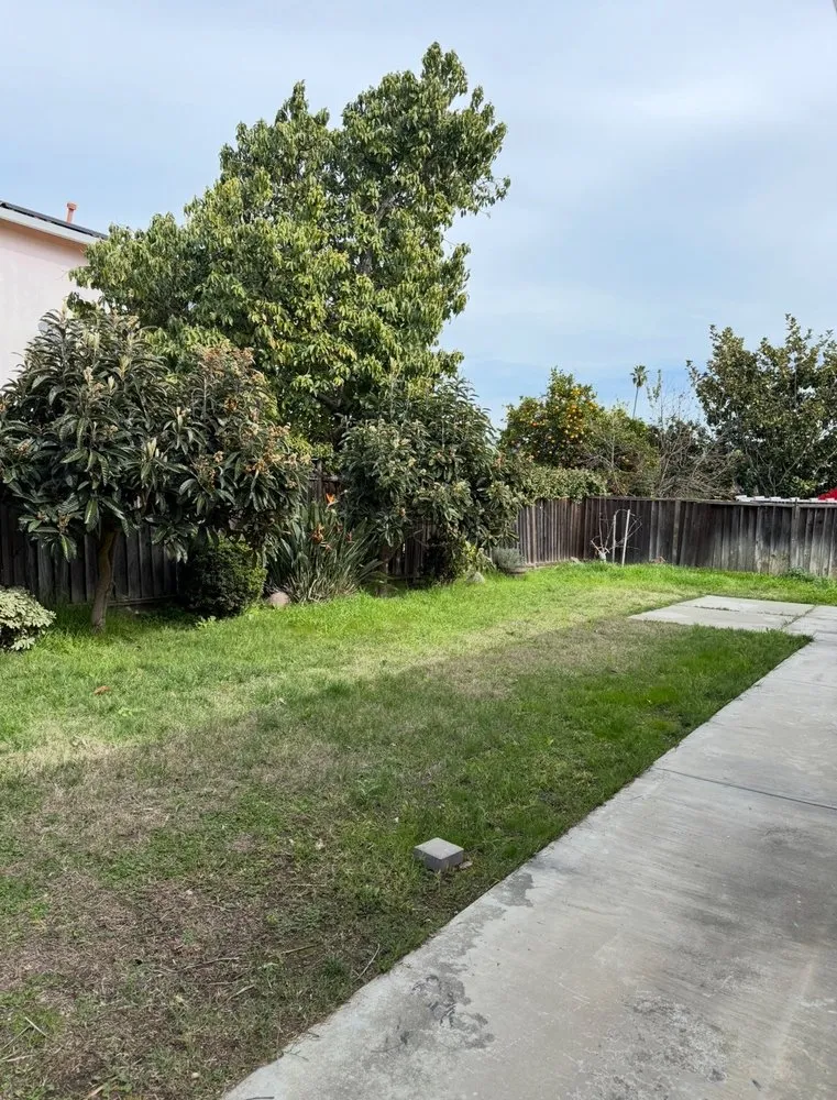 Local outdoor landscaping for residential properties across Union City, CA - Patricio's Landscaping & Gardening