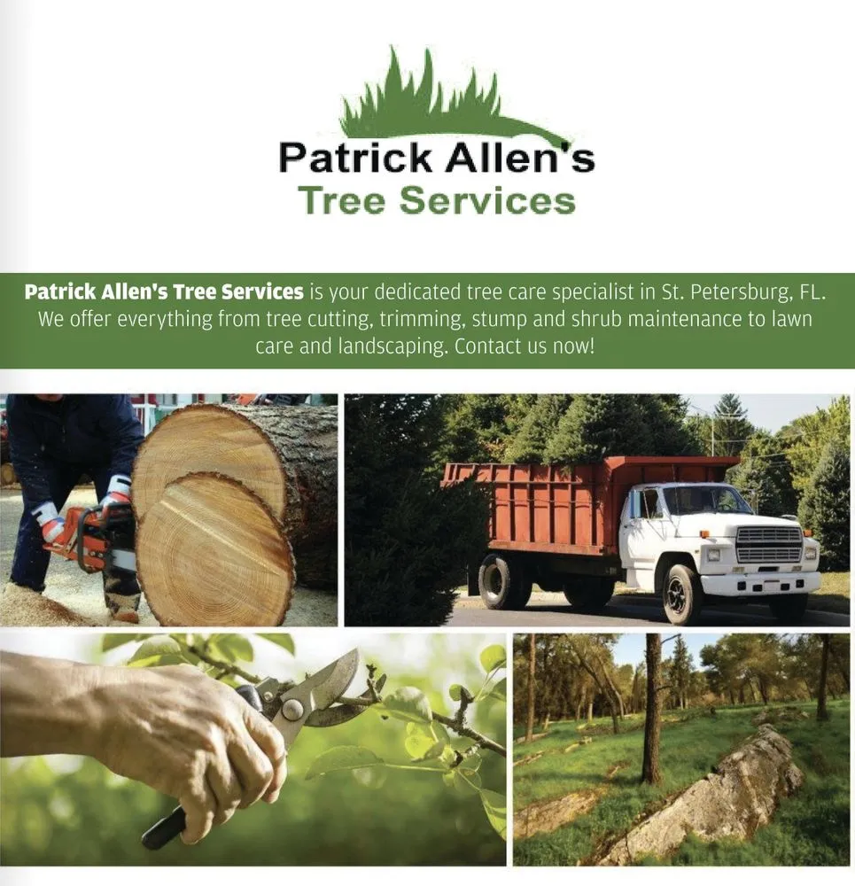 Custom lawn mowing service near you in St. Petersburg, FL by Patrick Allen's Tree Services